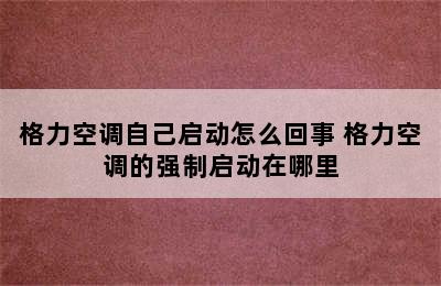 格力空调自己启动怎么回事 格力空调的强制启动在哪里